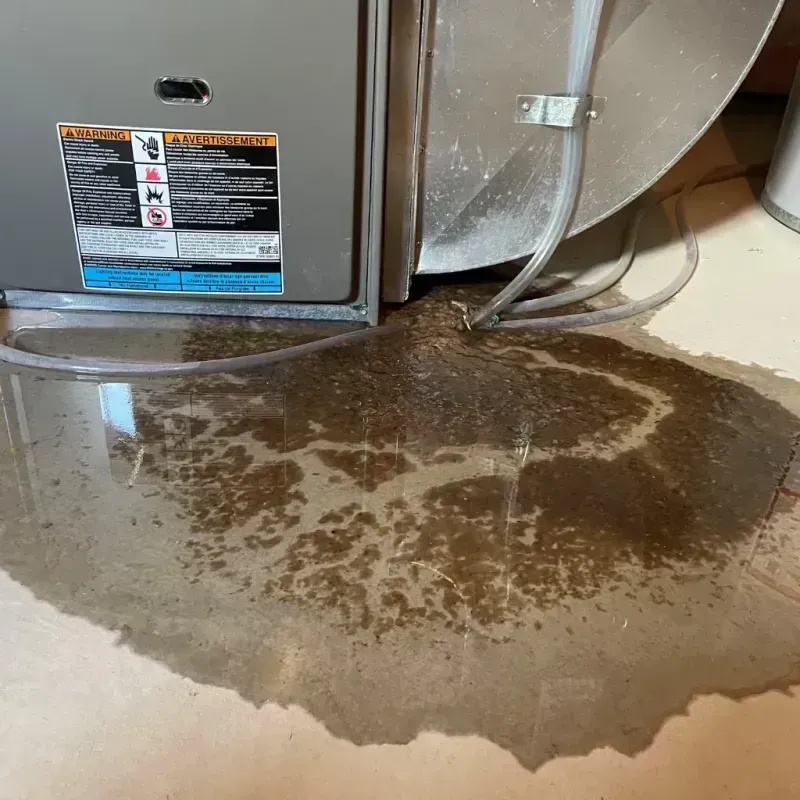 Appliance Leak Cleanup in Ossipee, NH